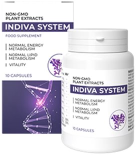 Indiva System (sl)